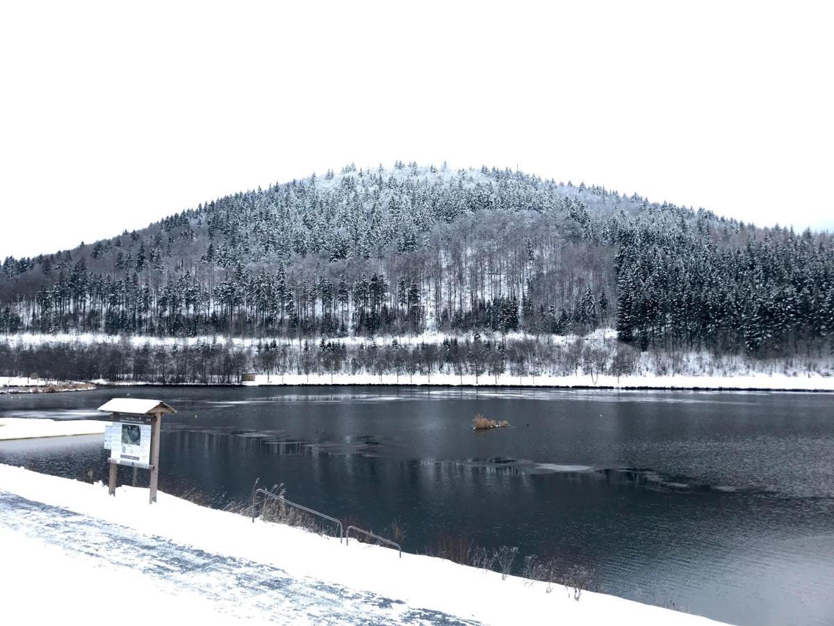 Appartement Familie Willems Winterberg 2 ภายนอก รูปภาพ