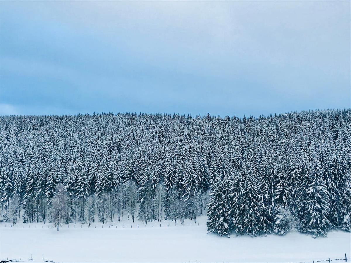 Appartement Familie Willems Winterberg 2 ภายนอก รูปภาพ