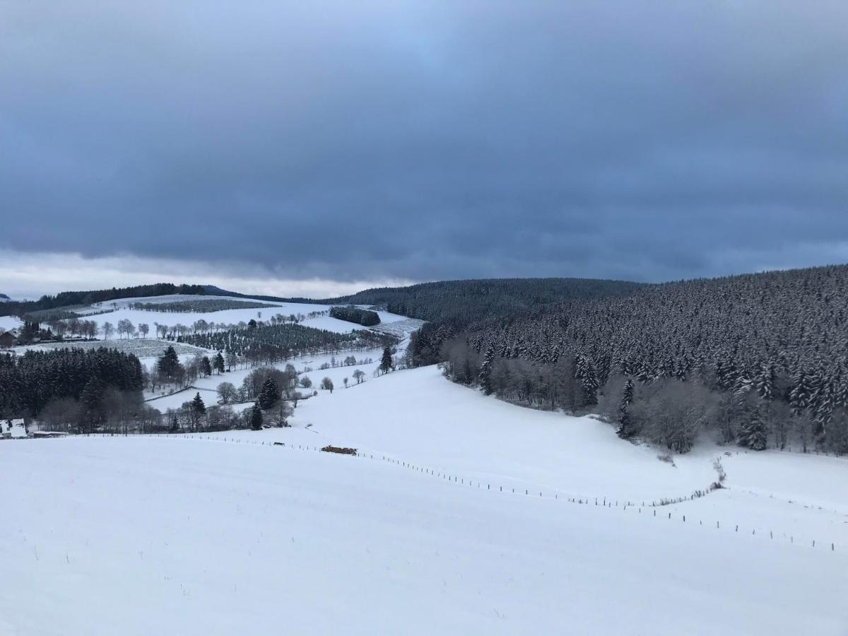 Appartement Familie Willems Winterberg 2 ภายนอก รูปภาพ