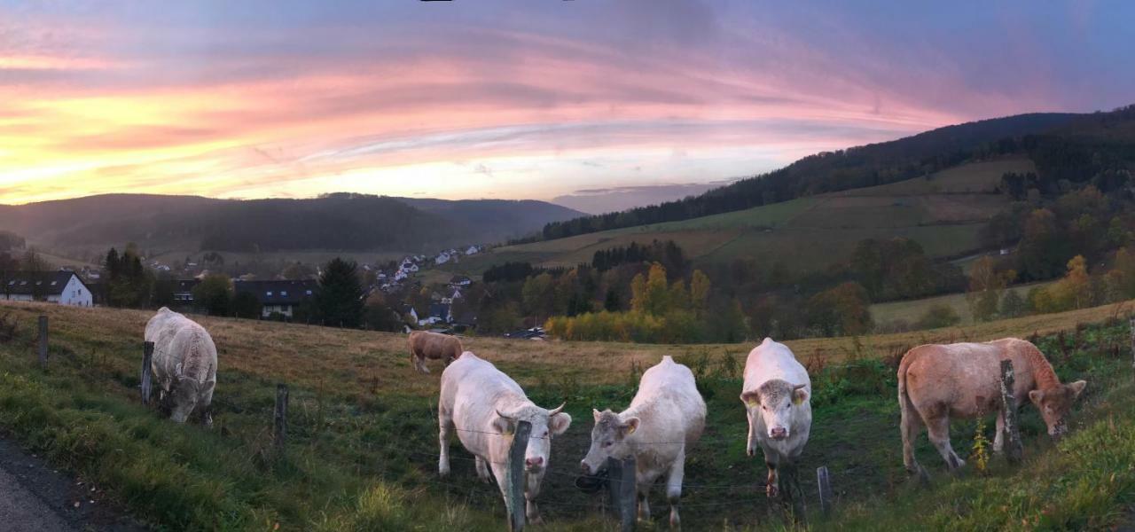 Appartement Familie Willems Winterberg 2 ภายนอก รูปภาพ